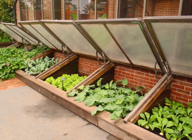 cold frame gardening