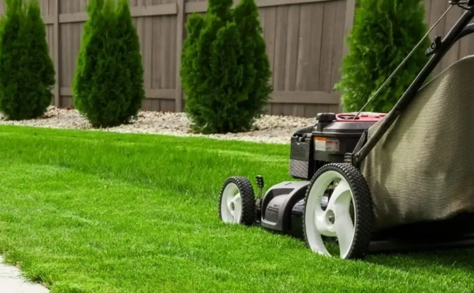 how to get a green lawn