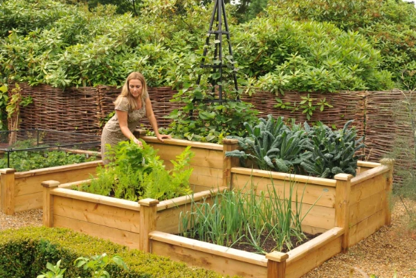 raised bed soil mix raised bed soil mix