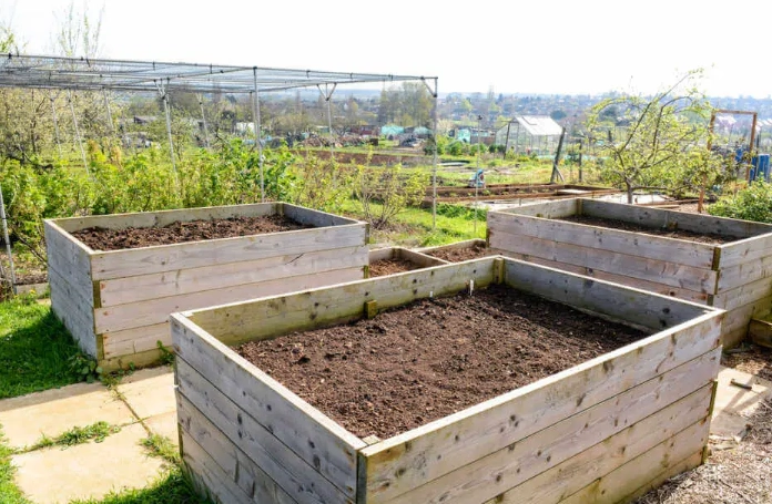best soil for raised beds best soil for raised beds