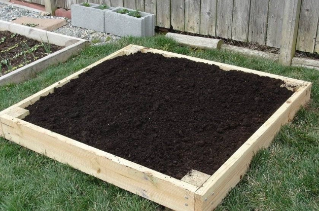 perfect soil for raised beds