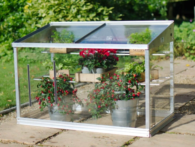 best plants for indoor greenhouse