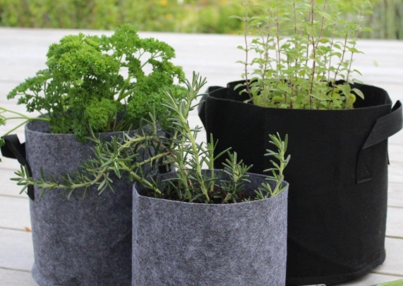 fabric grow bags