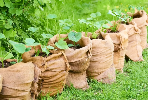 grow bags for vegetables