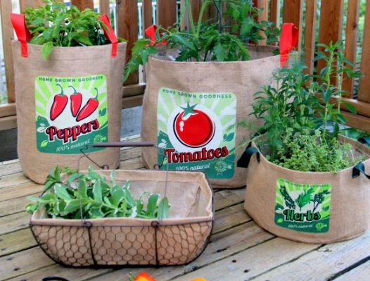 container gardening