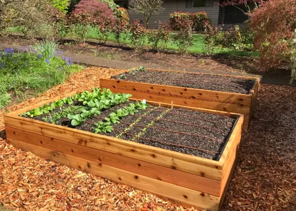 raised bed soil mix