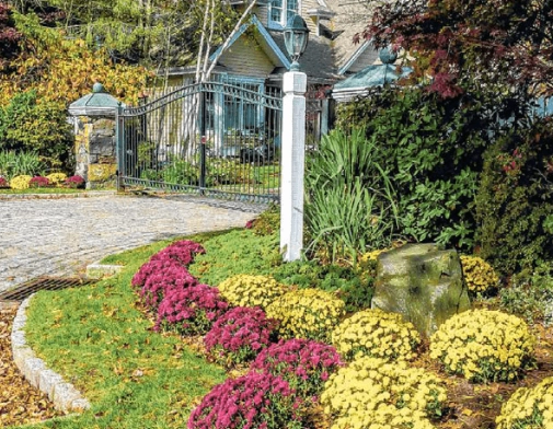 plants for fall color plants for fall color