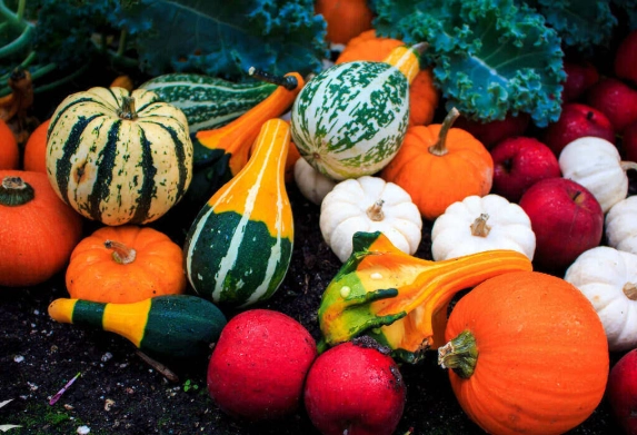 fall vegetable gardening fall vegetable gardening