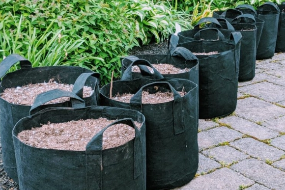grow bags for vegetables