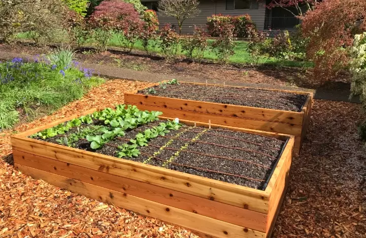 vegetable garden soil vegetable garden soil