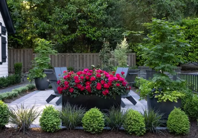 backyard ideas for small spaces