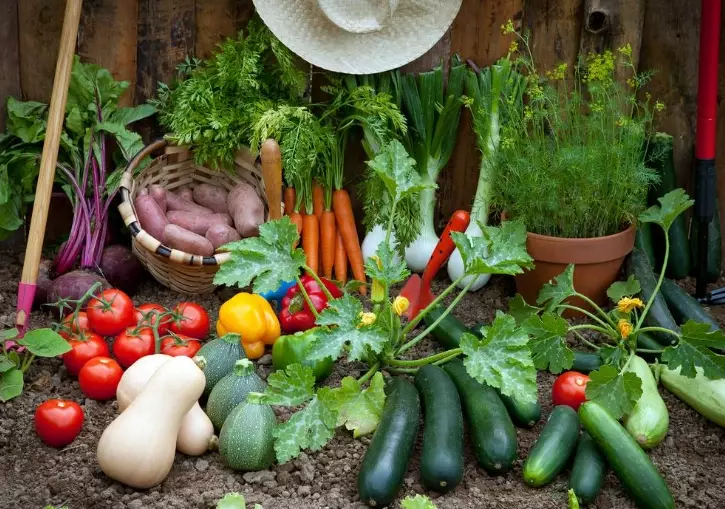 homegrown vegetables