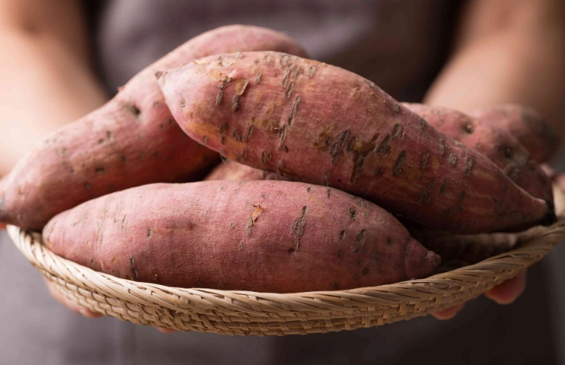 sweet potato curing process