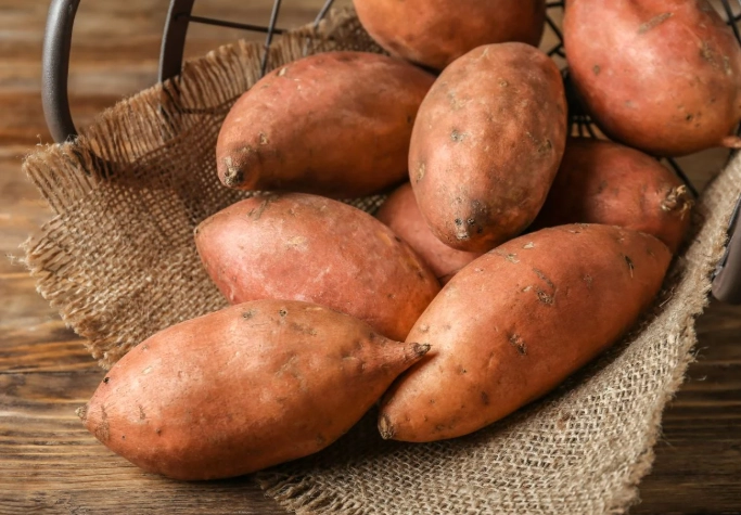 curing sweet potatoes after harvest
