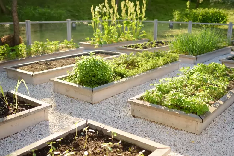 easy raised bed gardening
