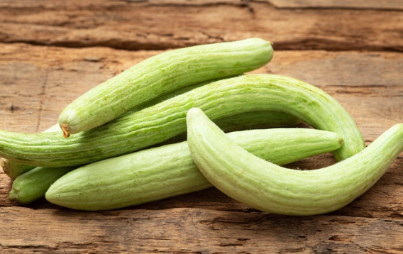 cucumber melon difference