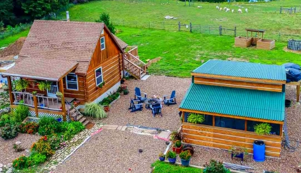 backyard homesteading