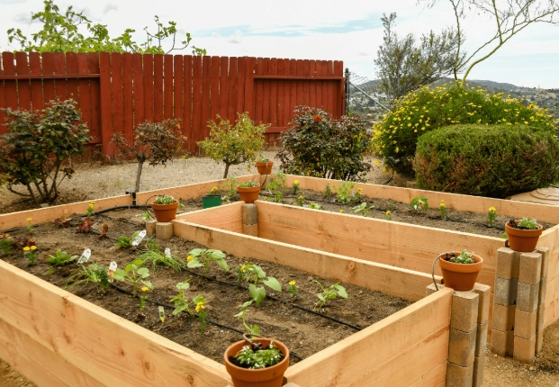 best soil for raised beds