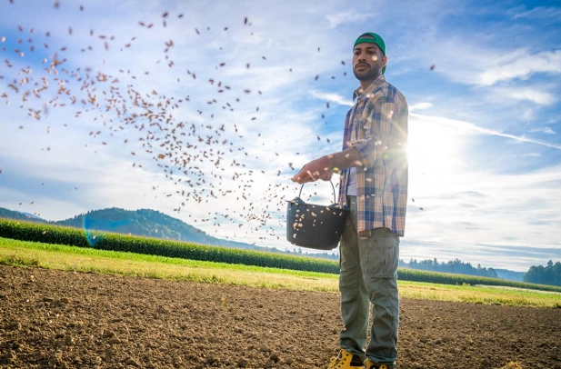 seed sowing guide seed sowing guide