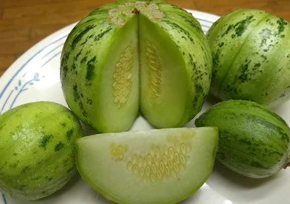 cucumber melon difference