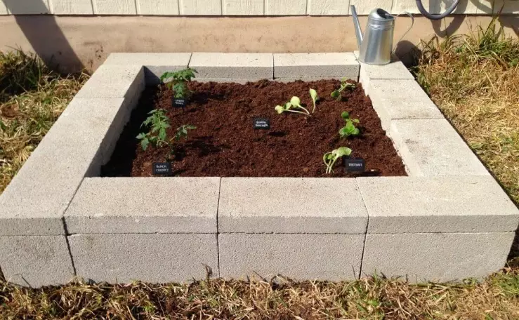 raised bed gardening ideas