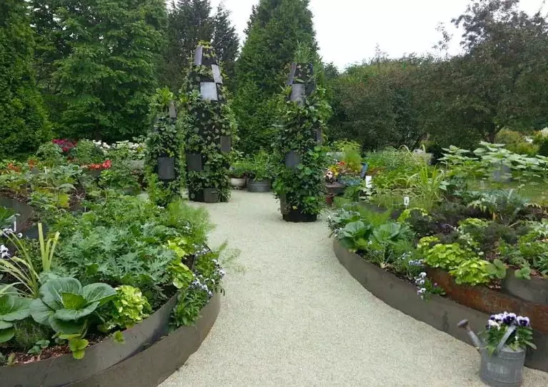 edible landscaping edible landscaping