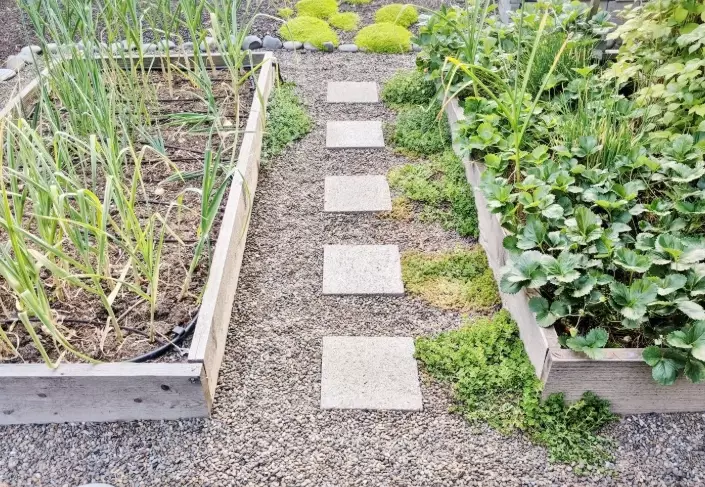 diy raised bed plans