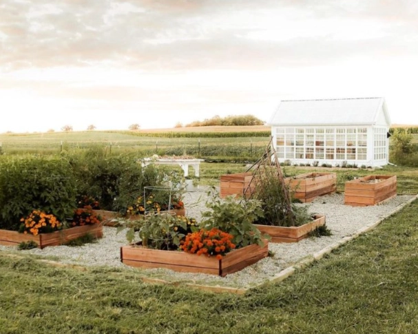 edible landscaping edible landscaping