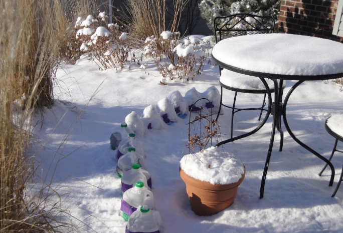 sowing seeds in winter