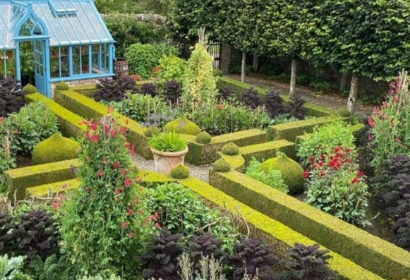 growing food in your yard growing food in your yard