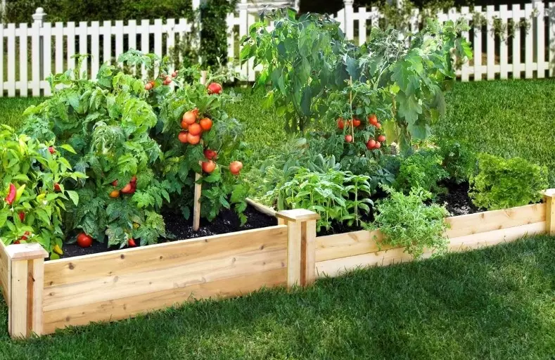 best soil for raised garden beds