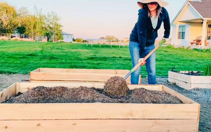 raised bed soil