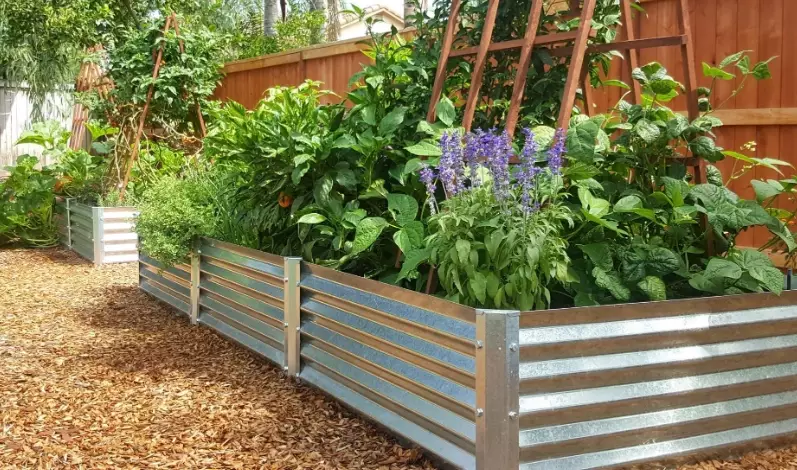 raised garden beds