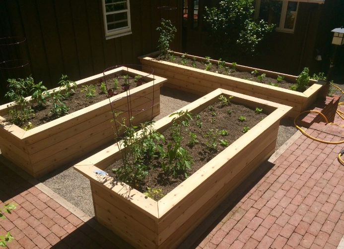 vegetable garden beds