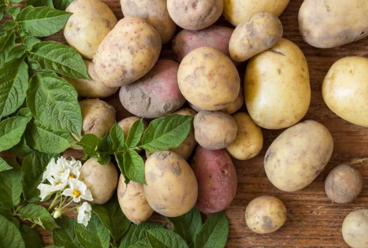 best fertilizer for potatoes best fertilizer for potatoes