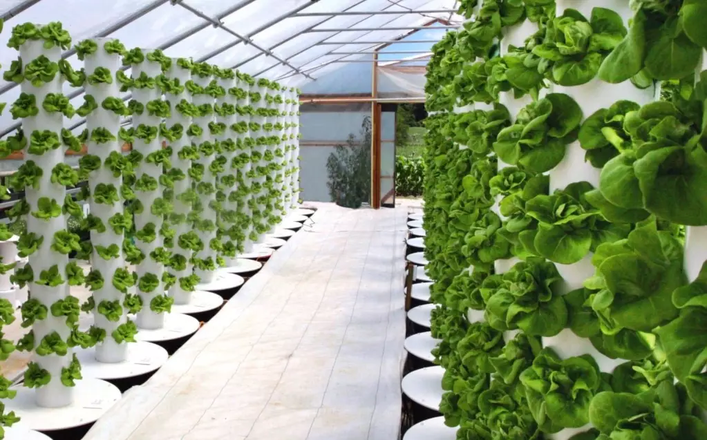 indoor hydroponic system indoor hydroponic system