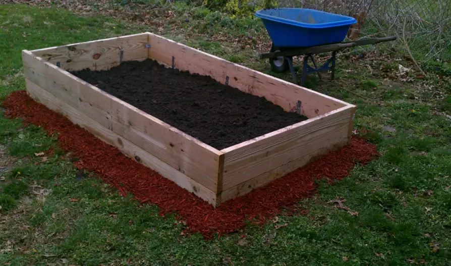 raised bed soil mix
