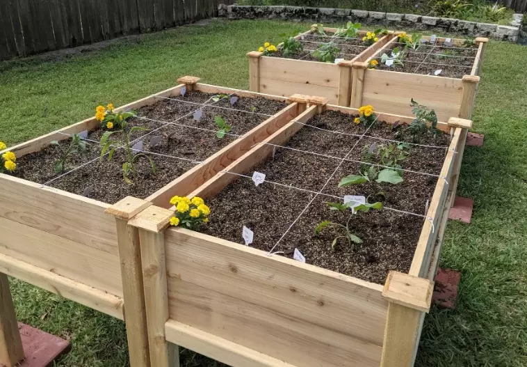 best soil for vegetable raised beds