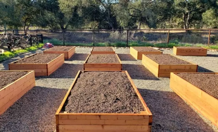 best soil for raised beds