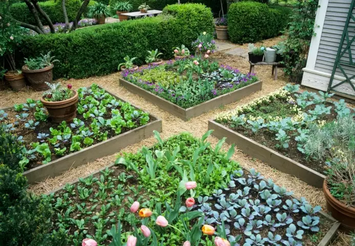 vertical gardening vertical gardening