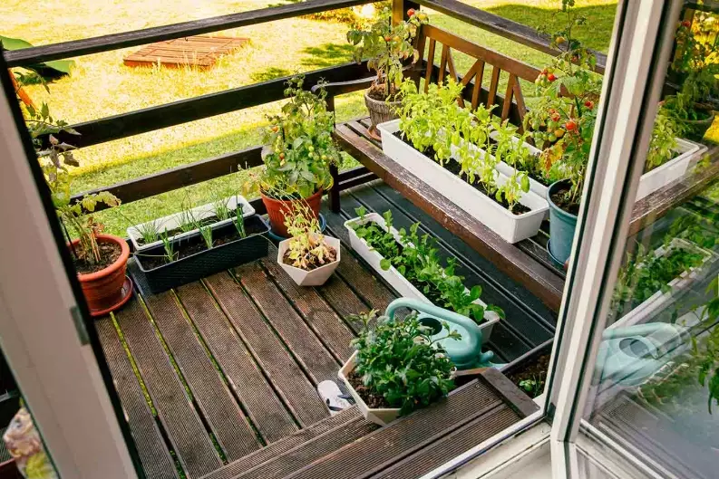 balcony gardening balcony gardening