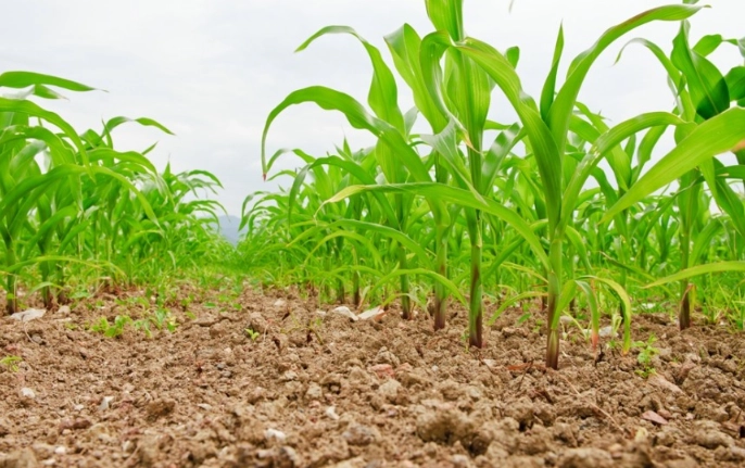 crop rotation benefits