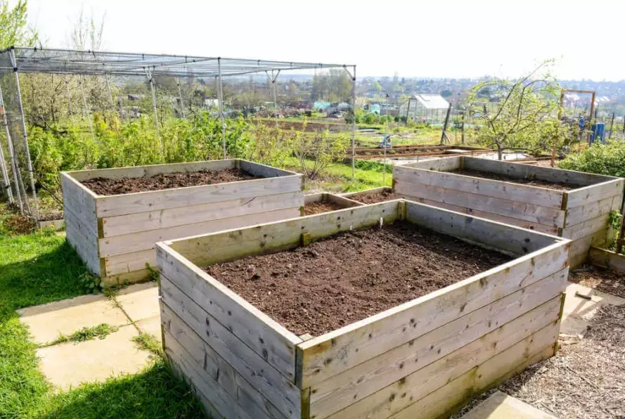 best soil for raised beds best soil for raised beds