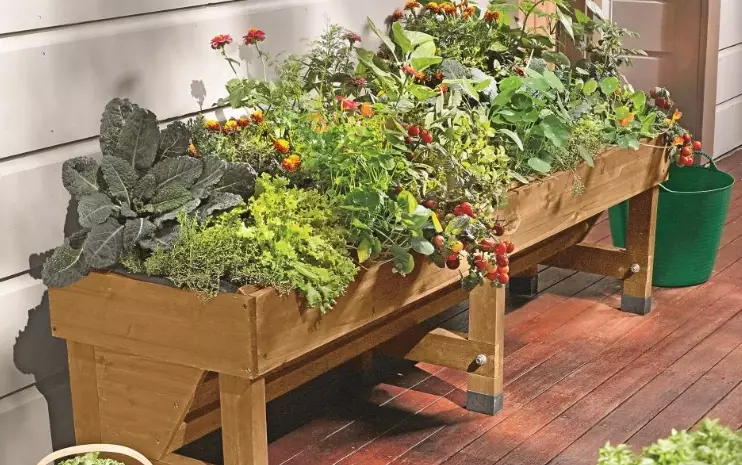 vertical gardening vertical gardening