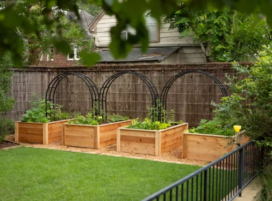 raised bed gardening