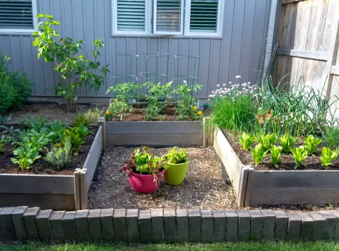 balcony gardening balcony gardening