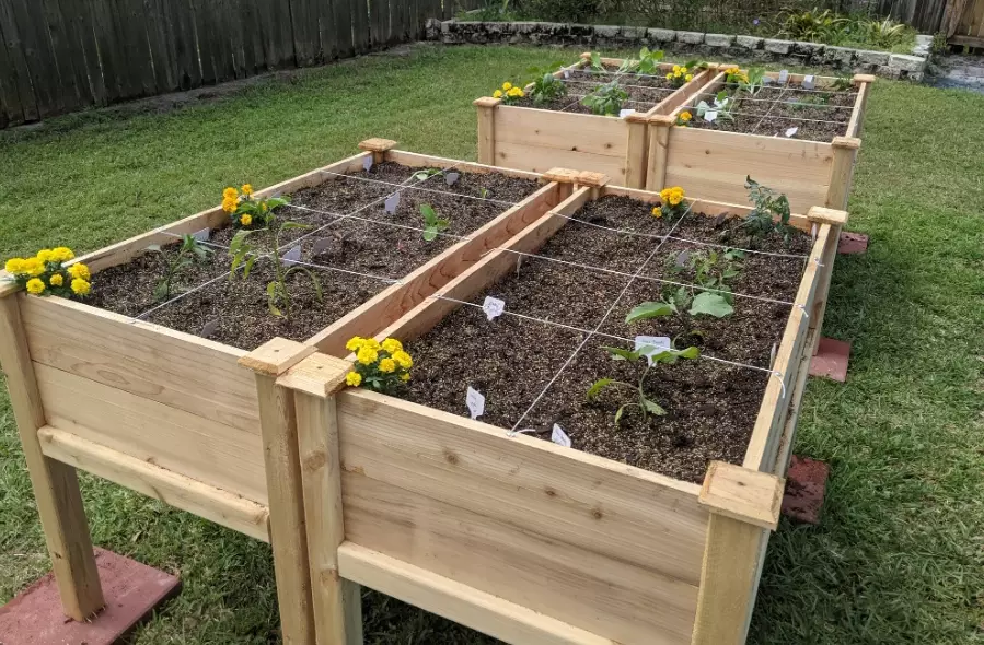 raised bed gardening