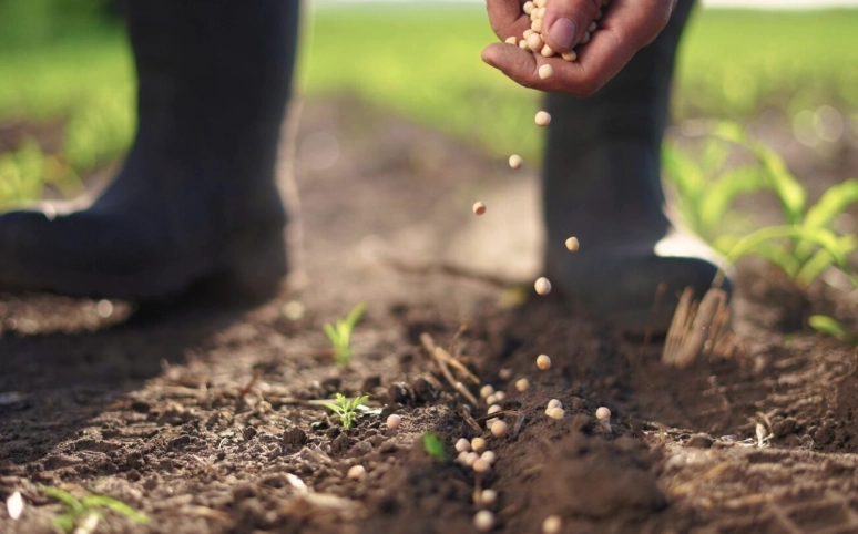 winter sowing method