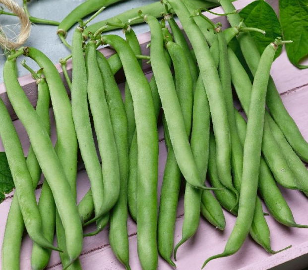how to grow green beans from seed