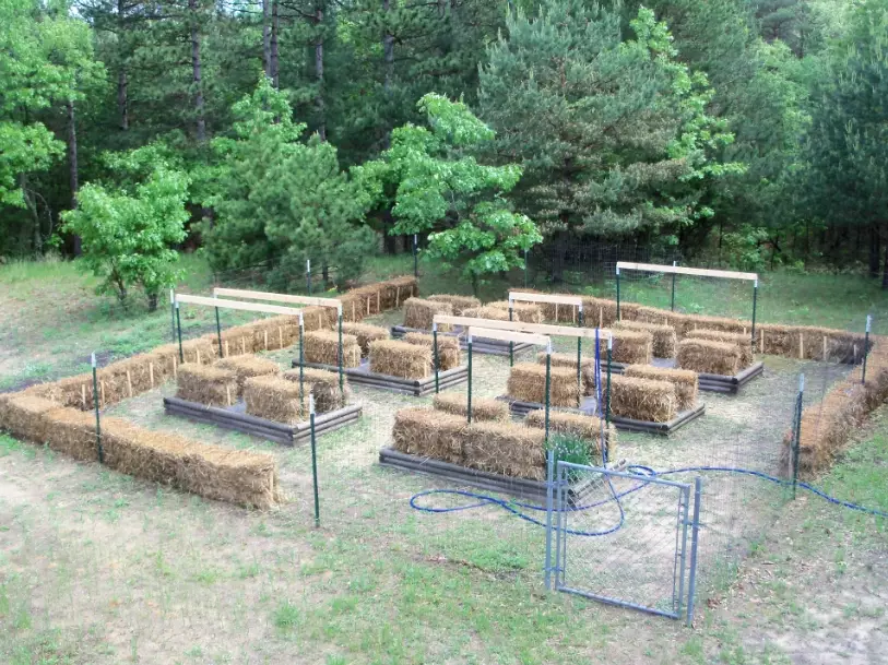 straw bale gardening